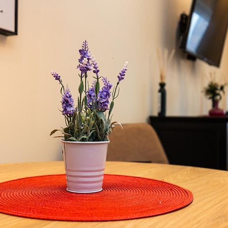 Apartment Mignon Belgrád Kültér fotó