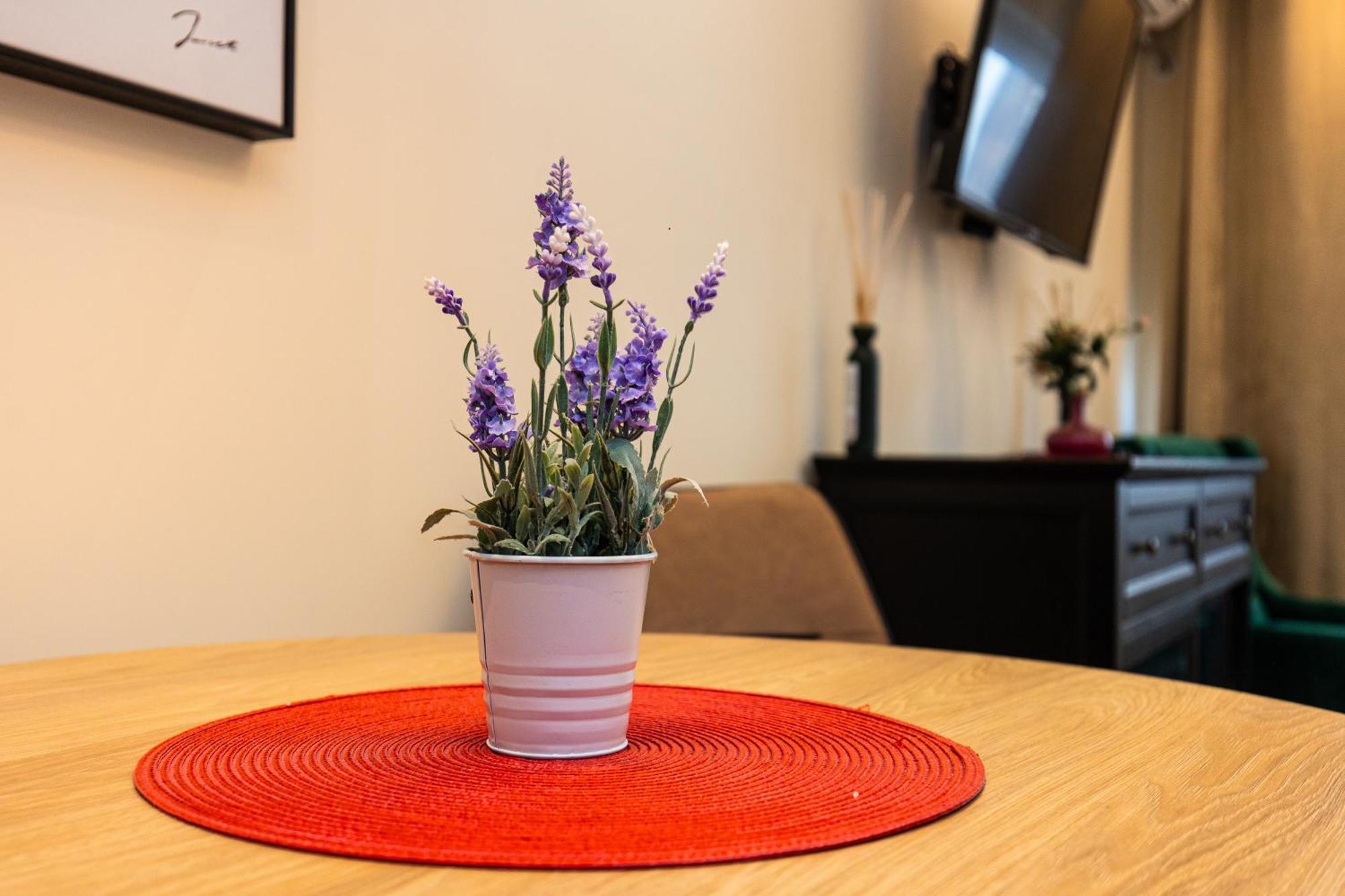 Apartment Mignon Belgrád Kültér fotó